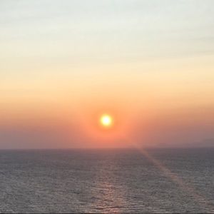 Meet your Posher, Paulette